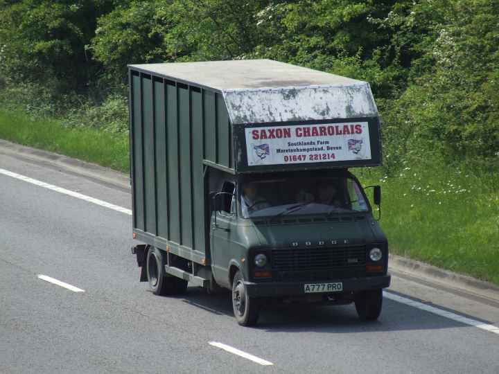 Saxon Charolais Dodge