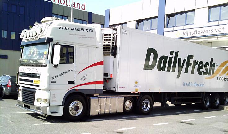 Brain International DAF 530