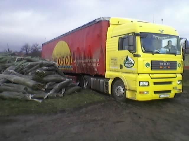 Tanne Transport Camar MAN-TGA Lorry