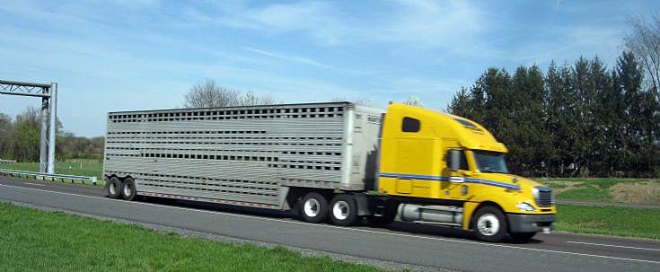 Freightliner Penske with cattle trailer, Rt 222 outside Lancaster, PA, USA