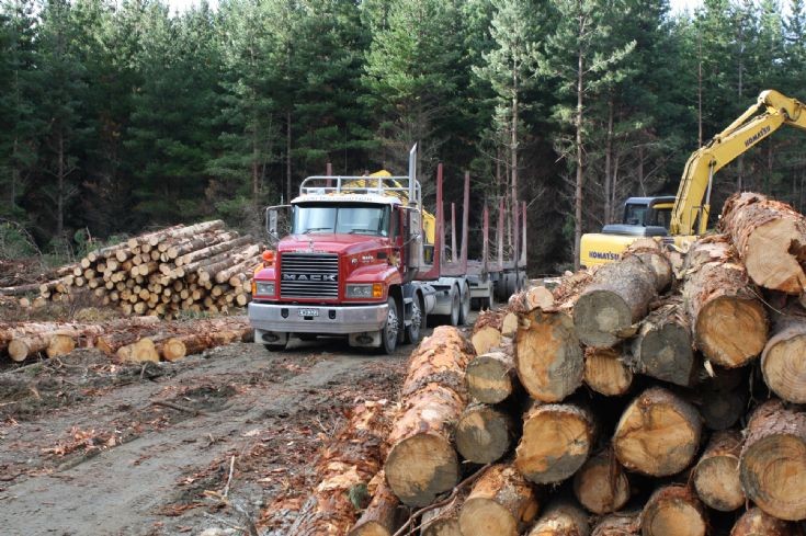 McNeills Mack logger, Waicoe Forest, Southland, New Zealand