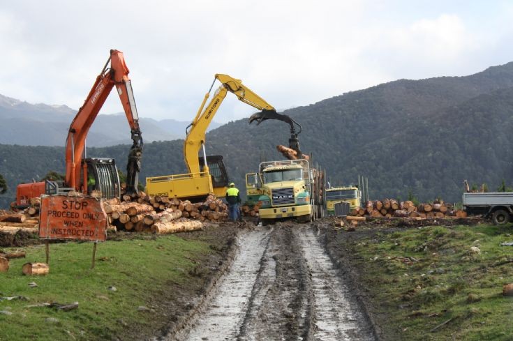 Southern Transport Co (Invercargill) Mack & Kenworth loggers on Whare Creek Station