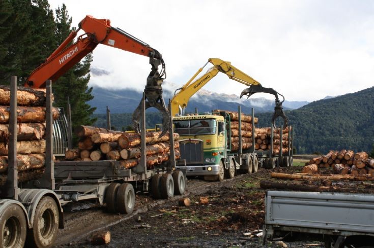 Makc and Kenworth loggers, Whare Creek Station - another view