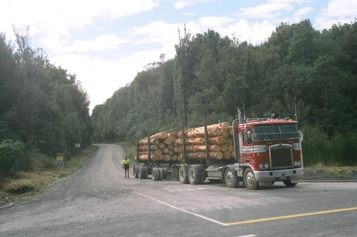 Kenworth Logger, on the boundary between South Waikato and The Bay of Plenty