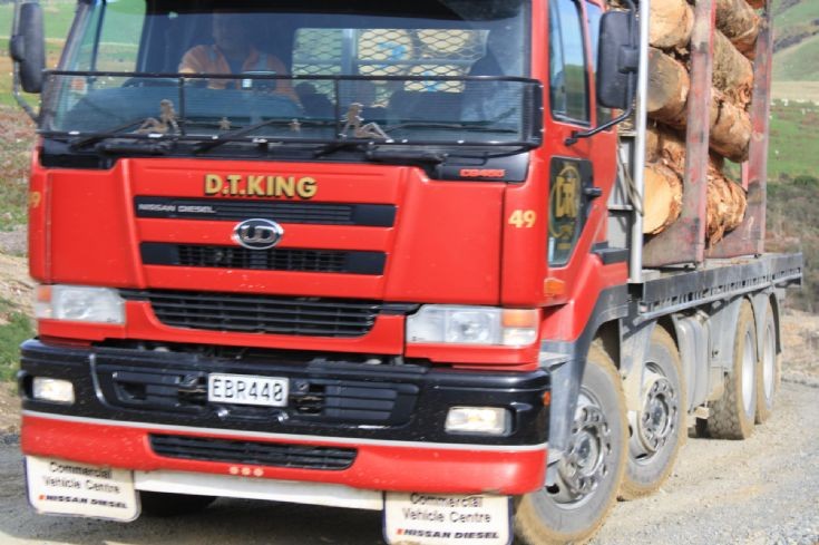 D. T. King Nissan CG-450
