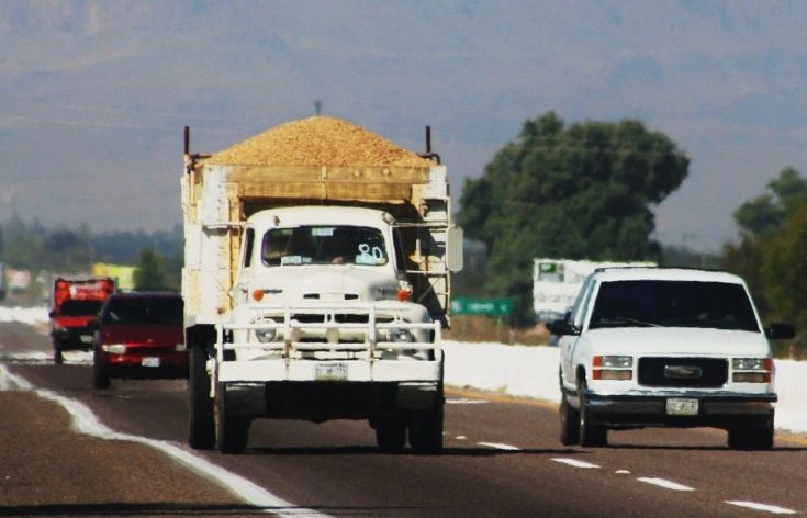 1951 Ford truck on the road