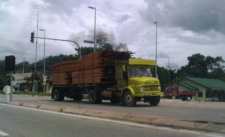 Truck Carrying Wood