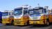 Scammel &  MAN tow trucks