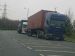 Scania and DAF