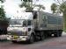 Hino Dolphin