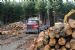 McNeills Mack logger, Waicoe Forest, Southland, New Zealand