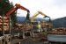 Makc and Kenworth loggers, Whare Creek Station - another view