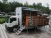 International CF600 mobile library