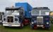 Hedger lorries